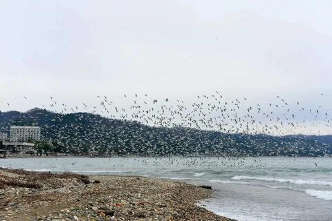 Прогноз погоды в абхазии в ноябре