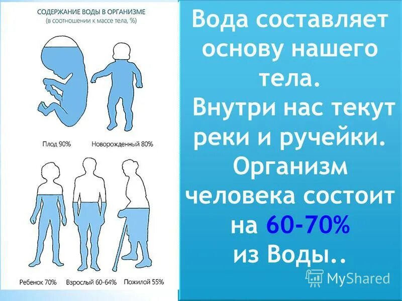 Сколько жидкостей в организме. Содержание воды в организме. Сколько воды в теле человека. Вода в организме ребенка. Сколько воды в человеке.