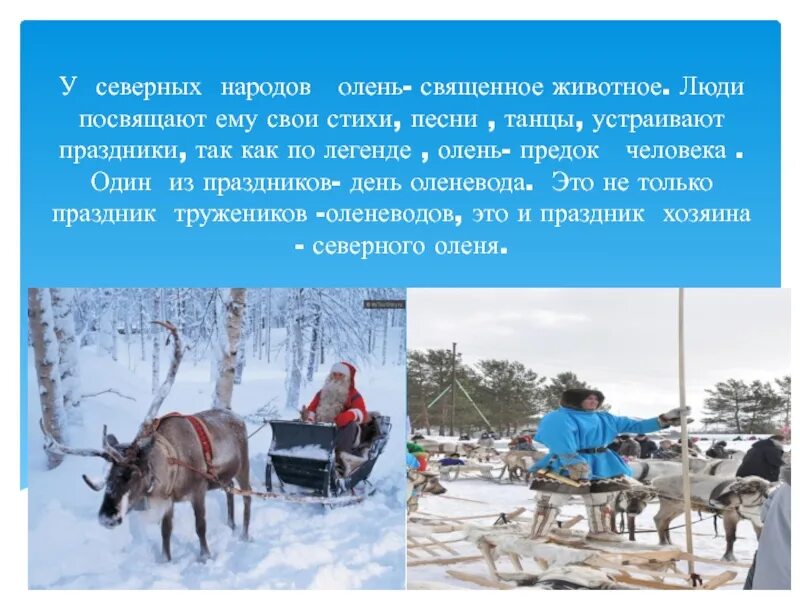 Традиции народов севера сообщение. Стих про северного оленя. стихи народов севера для детей. северные народы стихи. стихи о народах севера.