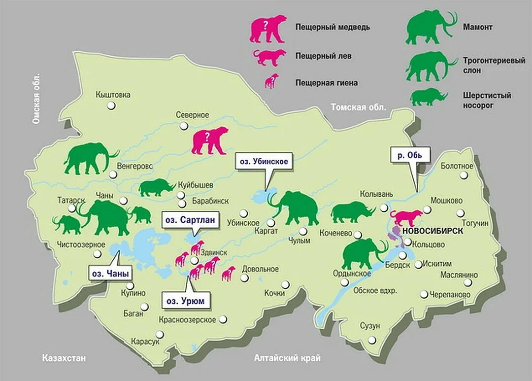 В каких районах обитаешь. Карта животных Подмосковья. Новосибирская карта животных. Зоны обитания медведей в Подмосковье. Животные России на карте.