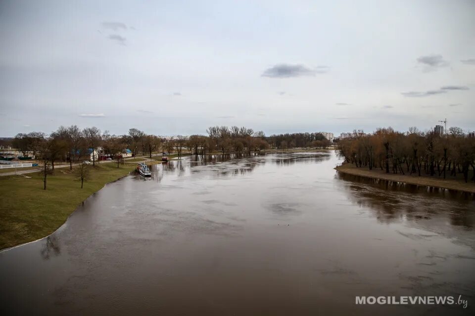 Уровень воды в днепре могилев сегодня. Могилев река Днепр. Весеннее наводнение реки Днепр. Днепр разлился в Могилеве 2023. Днепр разлился.