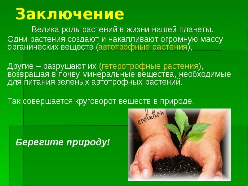 Каково значение агросообществ в жизни человека кратко. Коль растений в природе. Роль растений в природе. Растения в жизни человека. Роль растений в природе и жизни человека.