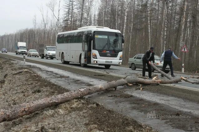 Движение автобусов в ельце в реальном времени