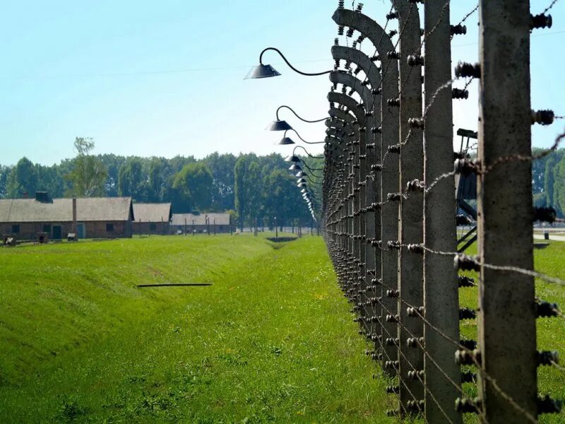 Забор концлагеря под током фото Российское историческое общество Российское историческое общество