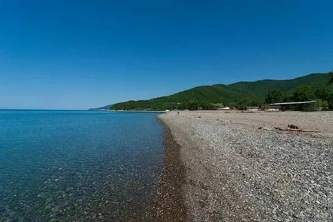 Село криница воронежская область