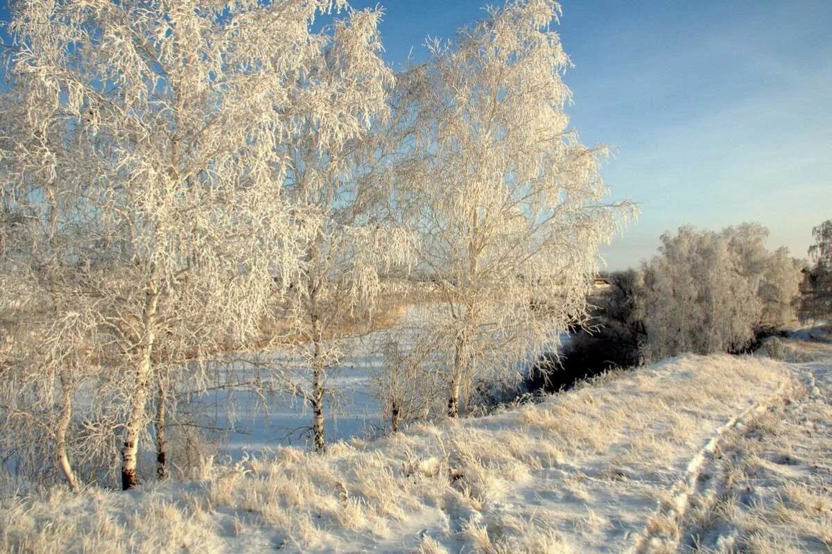 Песня а где то заснеженную сибири. Русская природа зимой. Пейзажи средней полосы России. Родина зима. Природа зима средняя полоса.