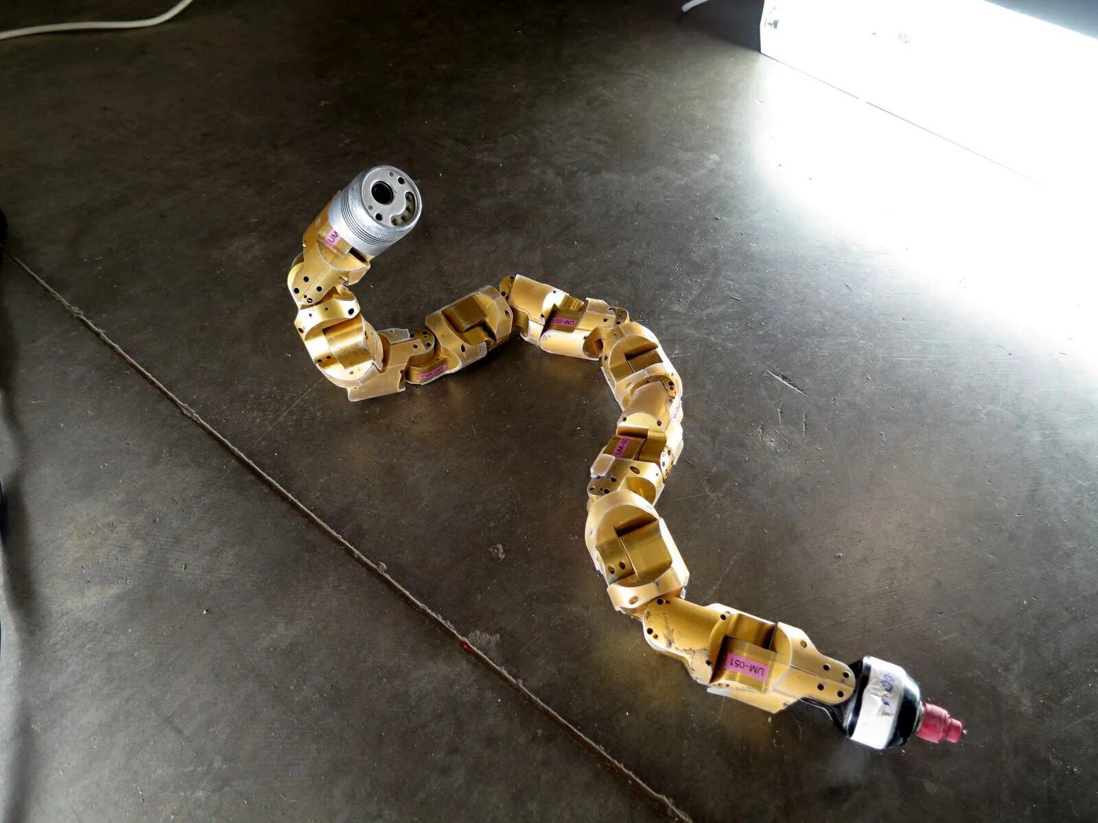 Змейка робот. Робот Snakebot. Робот "змея". Робо змея. Робот змея будущего.