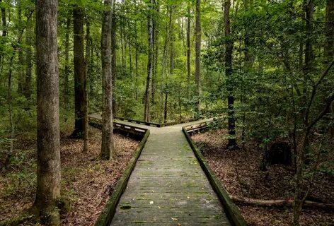 Split path