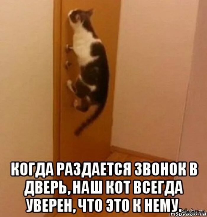 Всегда уверена
