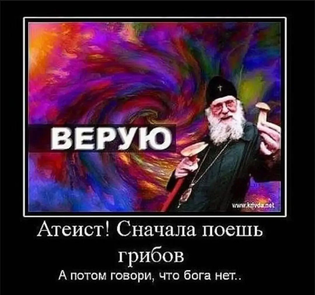 Сначала покушай. Поели теперь можно и поспать. Грибочков поел. Объевшийся черный кот. Сначала сделать.