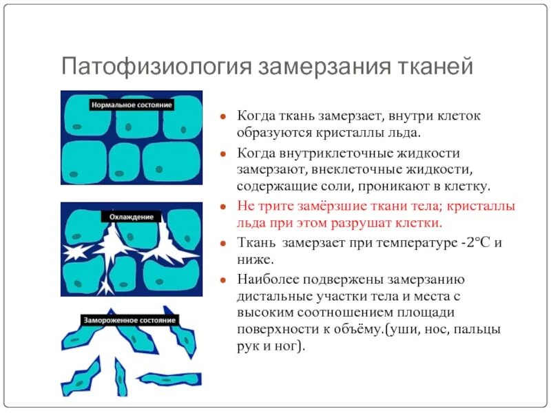 Что происходит при заморозке