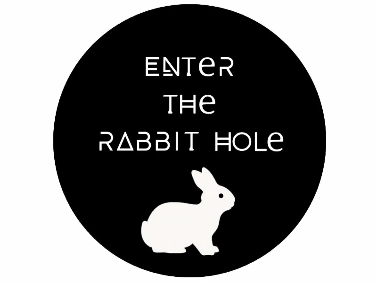 Rabbit hole feat deco 27. Rabbit hole. Rabbit hole Авива. Rabbit hole Crypto.