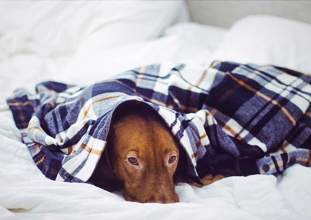 Hiding from me. Hiding from me