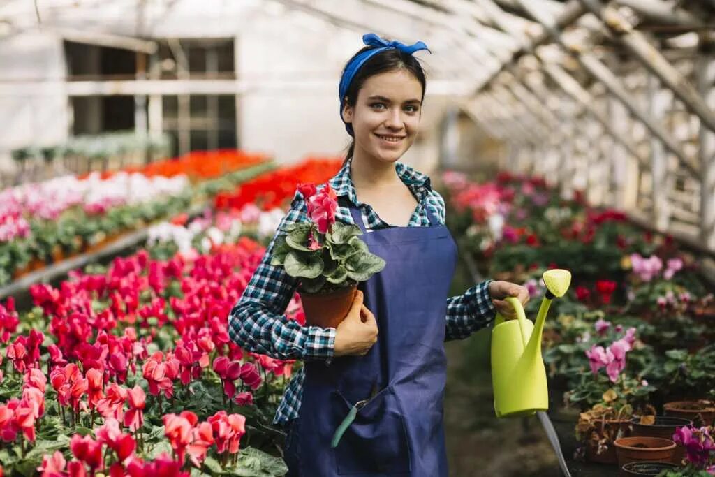 Шафран посевной. Летняя фотосессия на природе. Сбор лекарственных трав. Фестиваль дамасских роз марокко. Садовник-цветовод.
