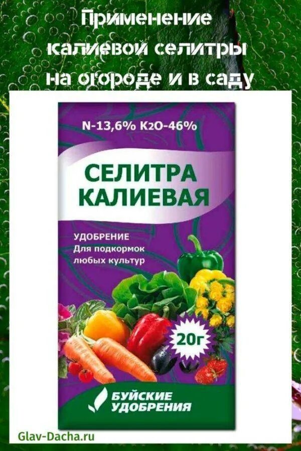 Как правильно подкармливать селитрой. Калиевая селитра для рассады. селитра калиевая для огурцов. удобрение помидор селитрой. подкормка кальциевой селитрой томатов.