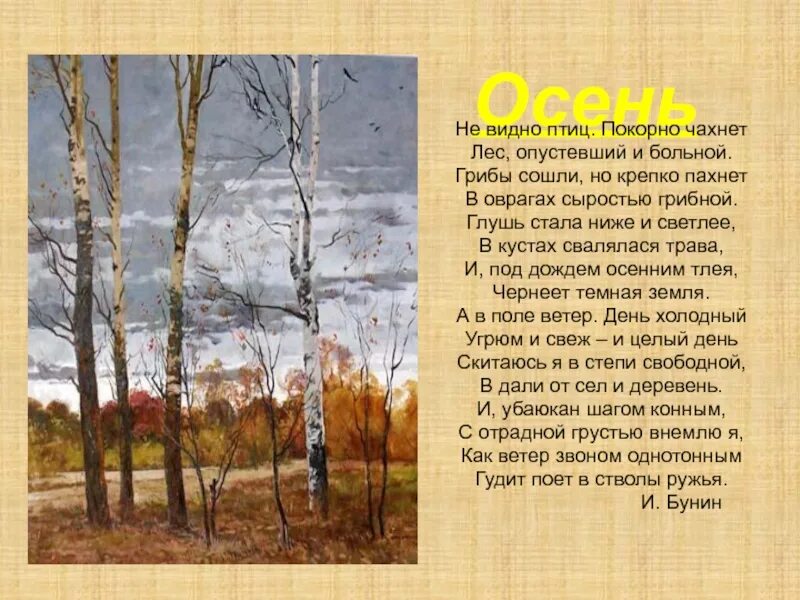 В лесу было тихо но в поле. Стих Ивана Бунина не видно птиц. Бунин стихотворение не видно птиц покорно чахнет. Стих не видно птиц покорно чахнет лес опустевший. Стих Бунина не видно птиц покорно чахнет лес опустевший.