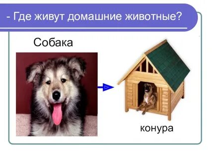 Где живешь в каком доме