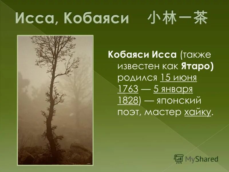 Хокку кобаяси иссы - "улитка". Март хайку. Хокку про сирень. Японская поэзия хокку. Хокку форма.