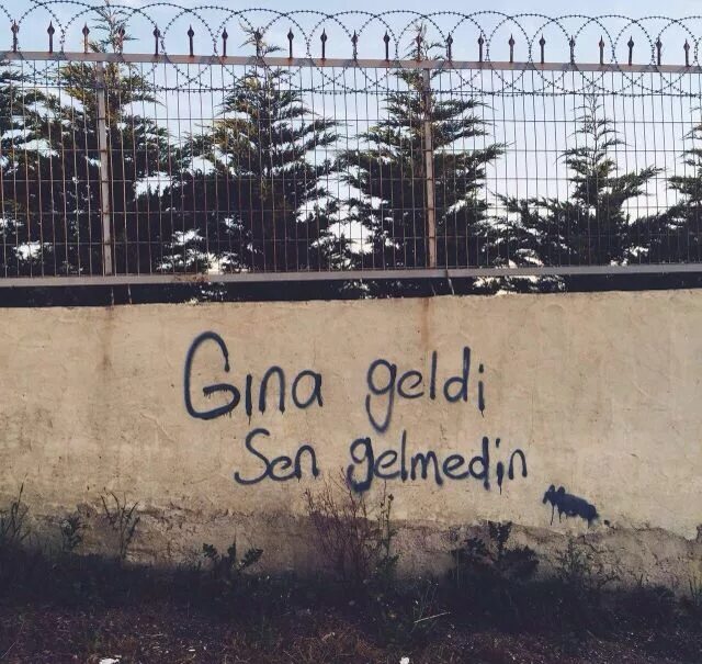 Sen geldin. Sen geldin. Sen geldin. Sems. Geldi.
