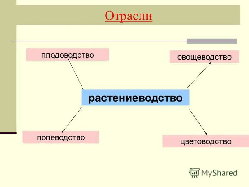 Отрасли растениеводства. Таблица сельское хозяйство растениеводство. Растениеводство культурные растения. Состояние отрасли растениеводства. Отрасли растениеводчтва и ж.