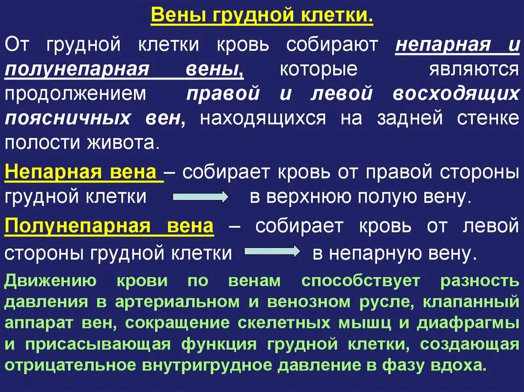 Венозный отток от грудной клетки.