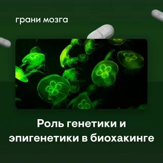 Грани мозга Энергия молодость - Telegram