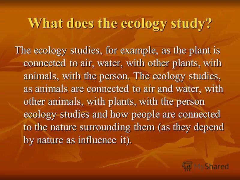 Questions about ecology. Ecology study.