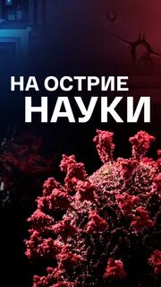 На острие музыка