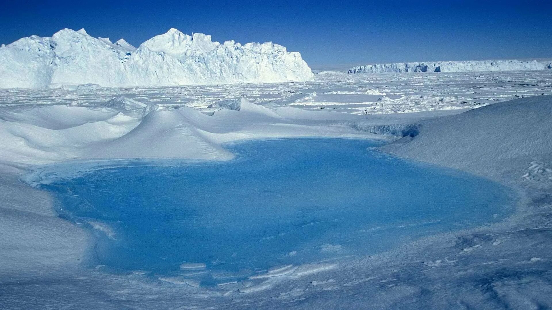 Arctic desert