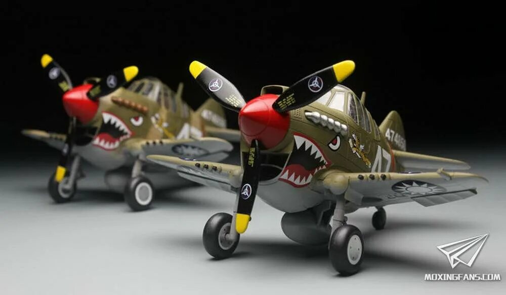 Toxic tiger модель. 106 Tiger model Curtiss p 40 Warhawk. Tiger model p-40. Tiger models 106 p40. Egg самолет Tiger model