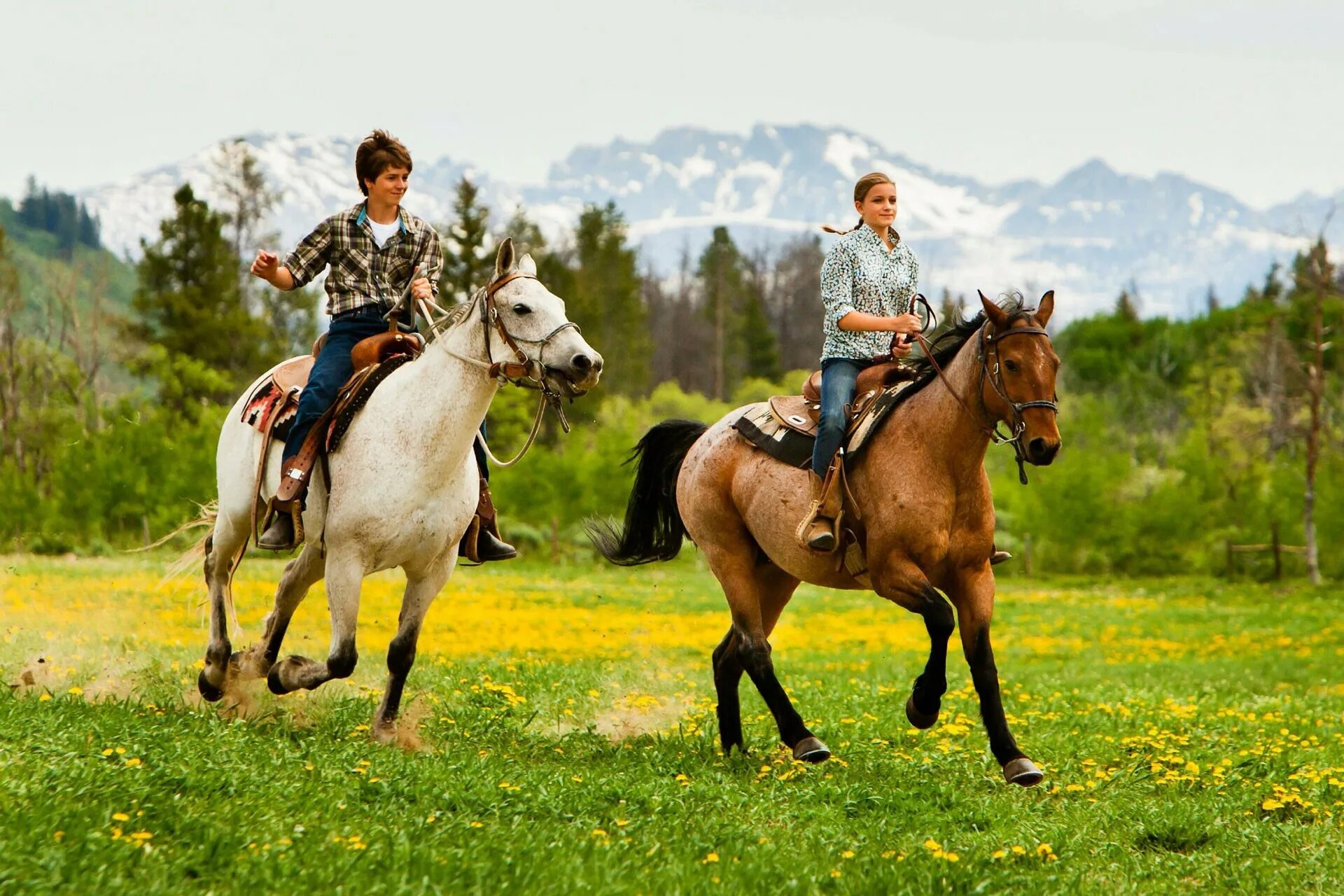 I m a horse
