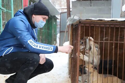 Приют рыбинск