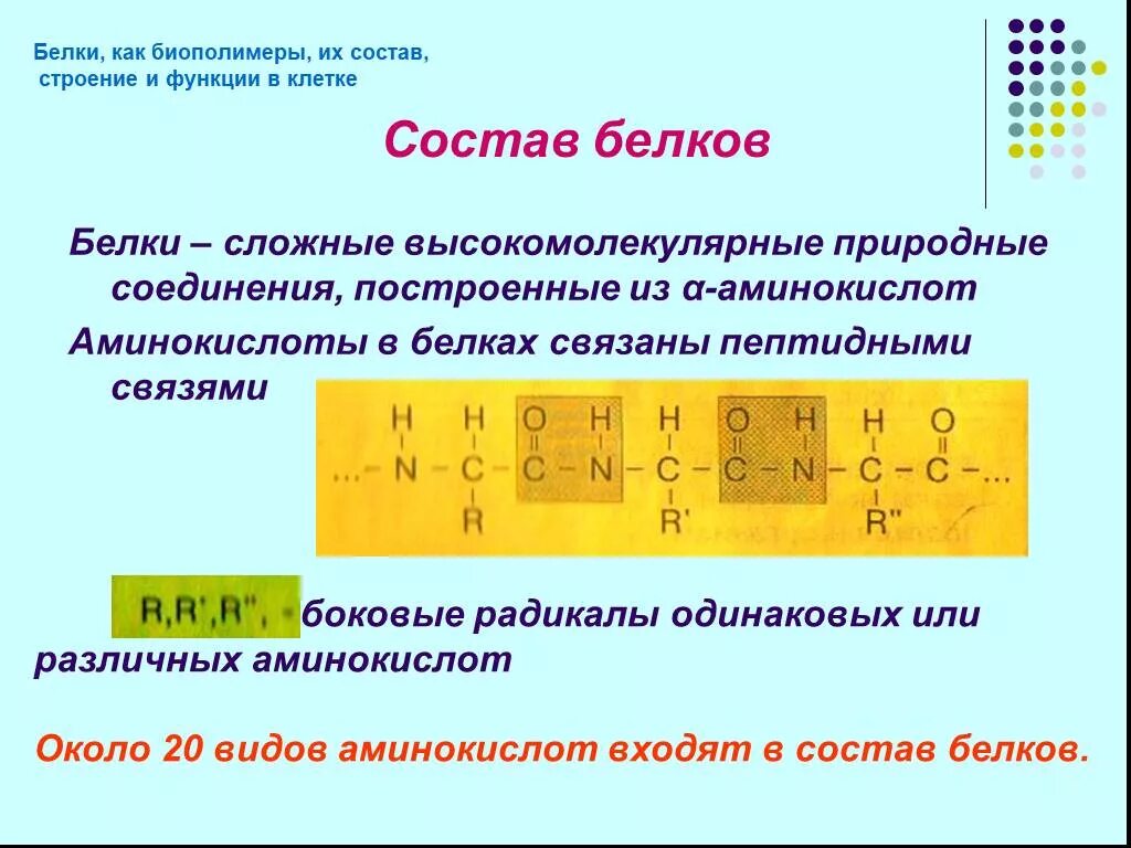 Биополимер строения функции. Биополимеры белки строение функции. Биополимеры белки и их строение. Белки как биополимеры структура. Строение биополимеров белков.