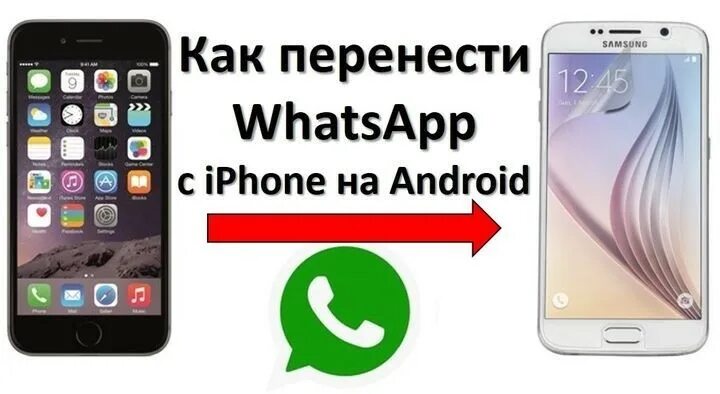 Как перенести ватсап без потери данных. Перенос whatsapp с android на iphone. как перенести whatsapp с андроида на айфон. перенести ватсап с айфона на айфон. ватсап айфон на андроид.