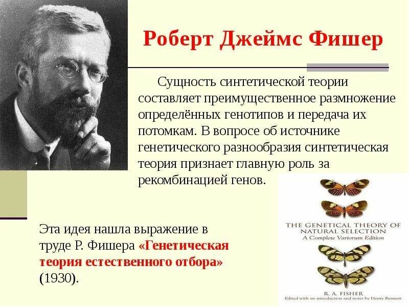 Рональд Фишер синтетическая теория. Холдейн синтетическая теория. Синтетическая теория эволюции Рональд Фишер. Фишер синтетическая теория эволюции.