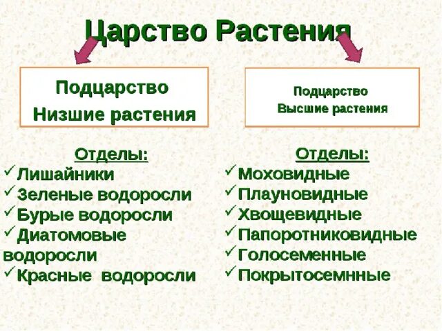 Выписать характеристику низших растений. Царство растений Подцарство. Основные отделы царства растений. Низшие и высшие растения таблица. Царство растений низшие и высшие.