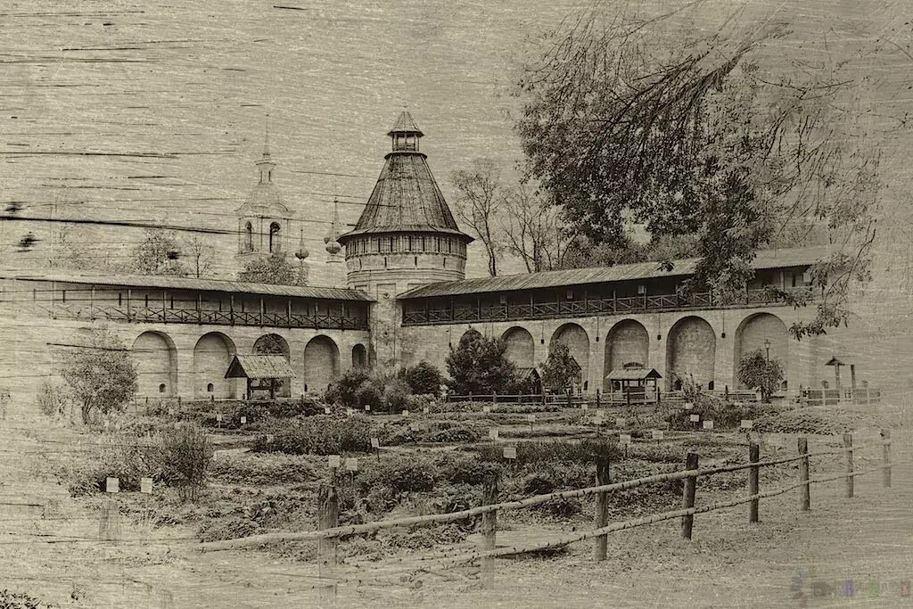 Аптекарский огород петра 1 в москве. Аптекарский огород 1706 год. Первые аптекарские огороды. Первые аптекарские огороды. Ботанический сад в москве при петре 1.