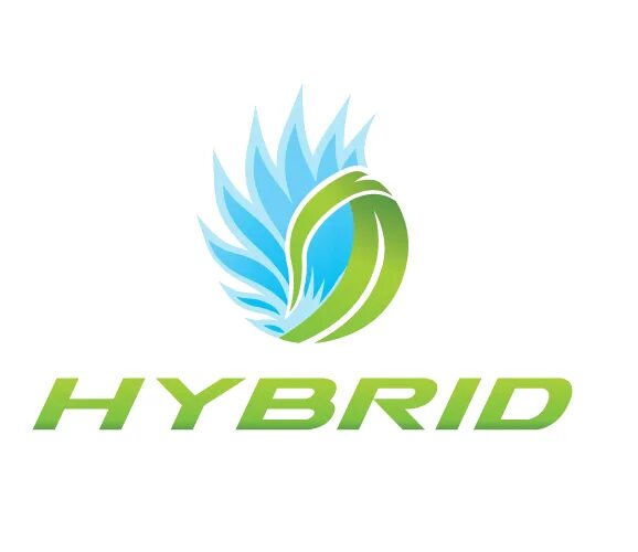 Значок гибрид. Гибрид лого. Hybrid логотип. Хонда гибрид логотип. ООО гибрид логотип.