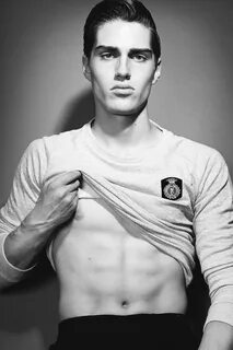 Alex model