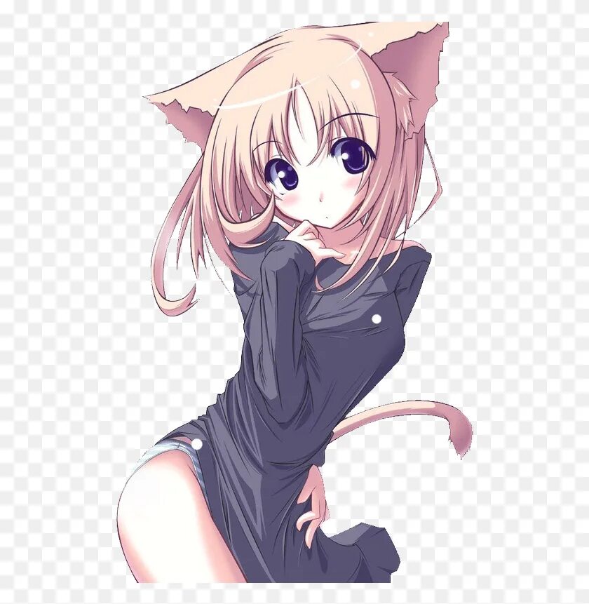 Аниме девушки кошки. Кэт герл. Аниме кошечка. Девочка с кошачьими ушками. Аниме девушки кошки.