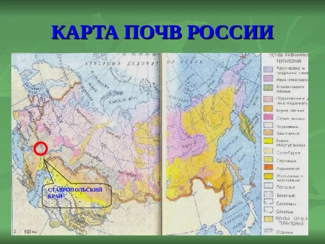 Контурная карта почв россии. Карта почв атлас 8 класс. Карта основные почвы России 8 класс. Атлас 8 класс почвенная карта. Карта почвы России 8 класс география.