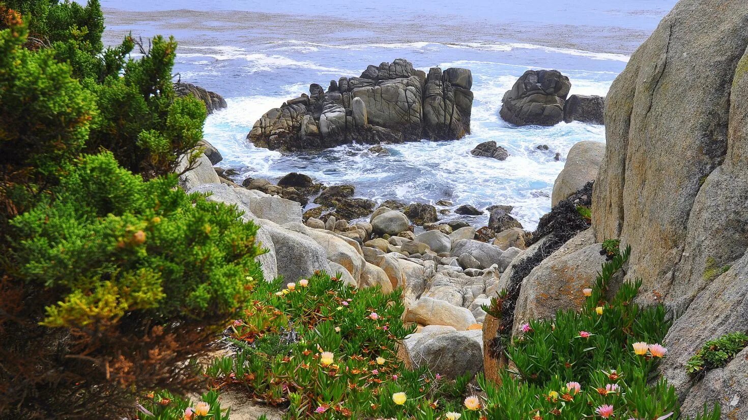 Дюны джемете пляж песок. Национальный парк паракас южная америка. Равеина калланбор в астралит. Маршалловы острова. Деревянный пляж.