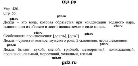 Русский язык упражнение 480