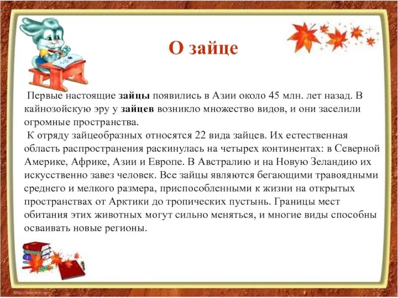 Сообщение про зайца 1 класс. Рассказ про зайца 2 класс окружающий мир. Доклад про зайца первый класс. Заяц описание для детей 1 класса. Рассказ про зайцева