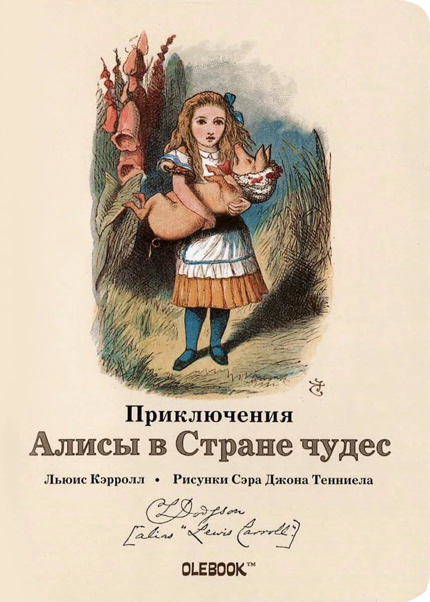 Алиса в стране чудес отзыв. Приключения алисы в стране чудес &quot; льюис керролл. книга приключения алисы в стране чудес кэрролл льюис. алиса в стране чудес книга обложка оригинальная. льюис кэролл алиса в стране чудес.