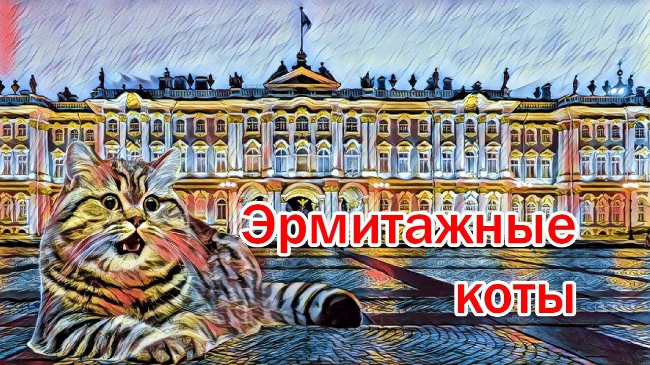 Петербургские коты Эрмитажа в Санкт-Петербурге. День Эрмитажного кота в Санкт-Петербурге. Петербургские коты Эрмитажа. Эрмитаж коты день Эрмитажного кота. Конкурс эрмитажный кот движение первых