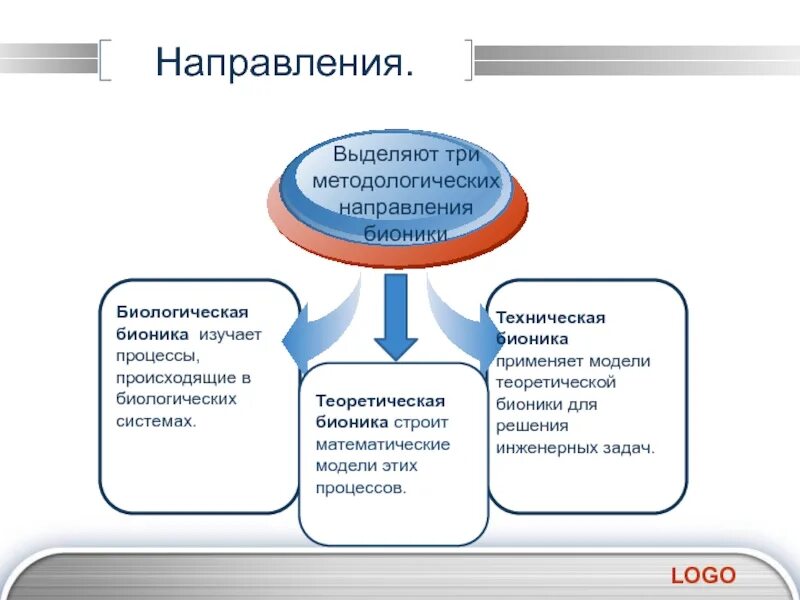 Основные направления науки Бионика. Биологическое направление бионики. Направление бионики примеры. Основные направления бионики в биологии. Направления бионики