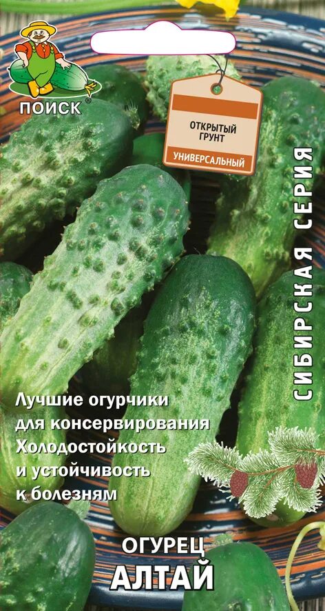 Огурец соленые уши семена алтая. Огурцы сорт алтай. Огурец алтай 0,5 г. Семена алтая огурцы 5шт семян в пачке. Семена алтая огурцы для открытого грунта.