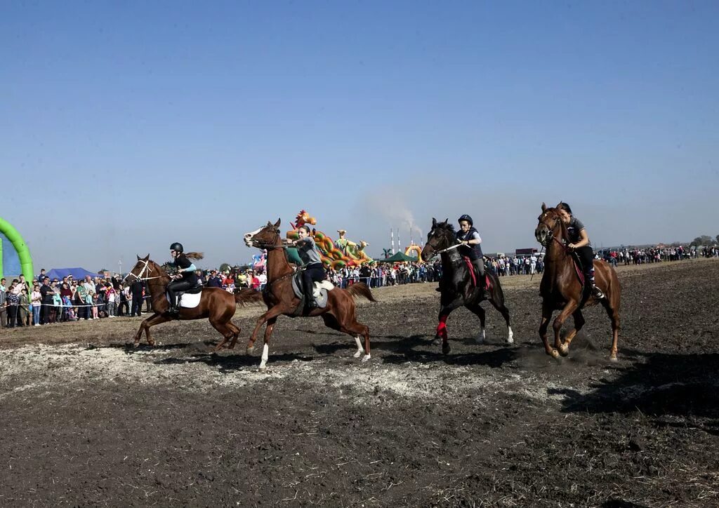 Погода в кривянской на 14. Праздник Покрова скачки станицы Кривянской. Скачки в станице Кривянской. Станица Кривянская Ростовская область. Станица Кривянская праздник Покров.