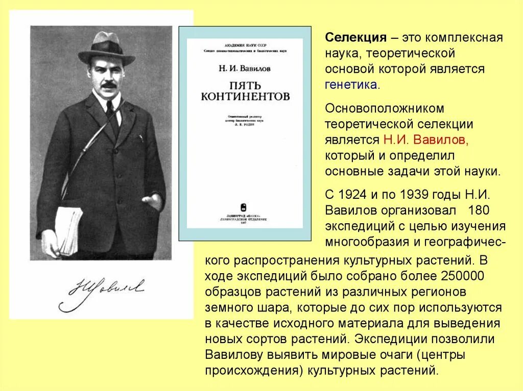 Научной основой селекции является. Вавилов основоположник селекции. основоположник селекции растений. научные основы селекции. генетика теоретическая основа селекции вавилов.
